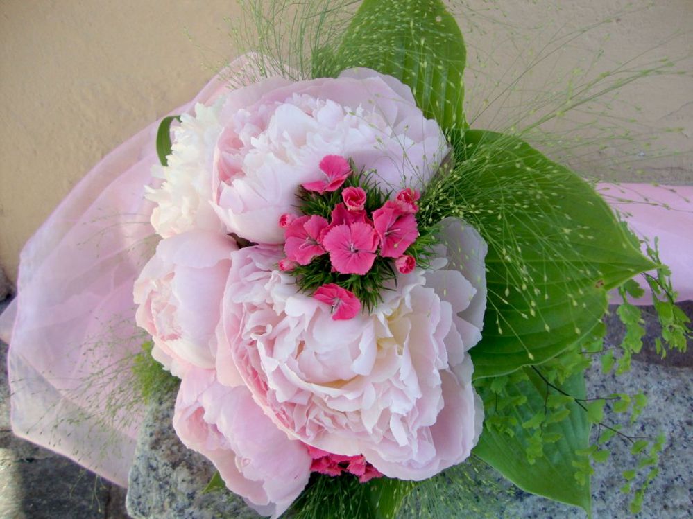 Bouquet da sposa con peonie e lisianthus realizzato da Giuseppina Comoli