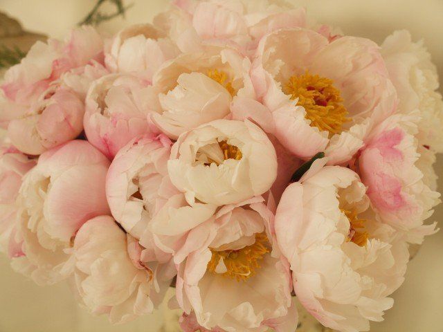 Bouquet con peonie