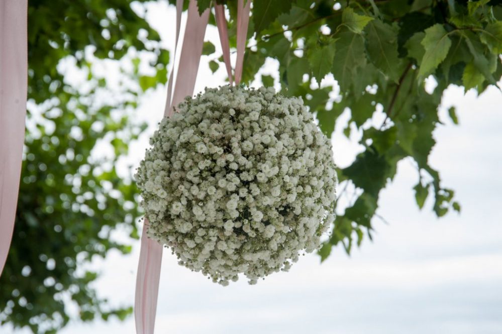 Gypsophila ball