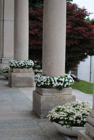 Allestimento con margherite sulle colonne della chiesa